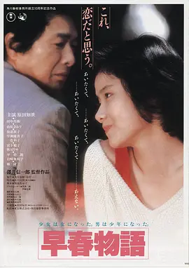 沙海孤灯高清电影在线观看